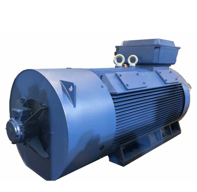 Low Voltage Motor