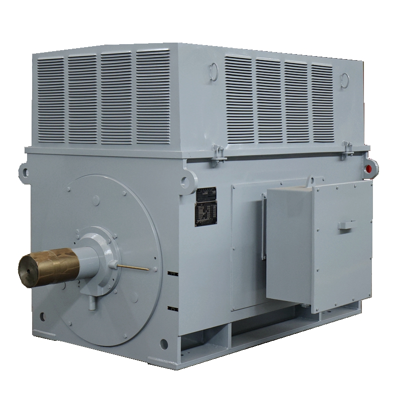 High Voltage Electric Motor