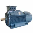 Y2HV Series High-voltage Three-phase Asynchronous Motor