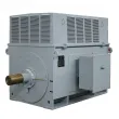 A4 Series High Voltage Electric Motors  with GOST Standards