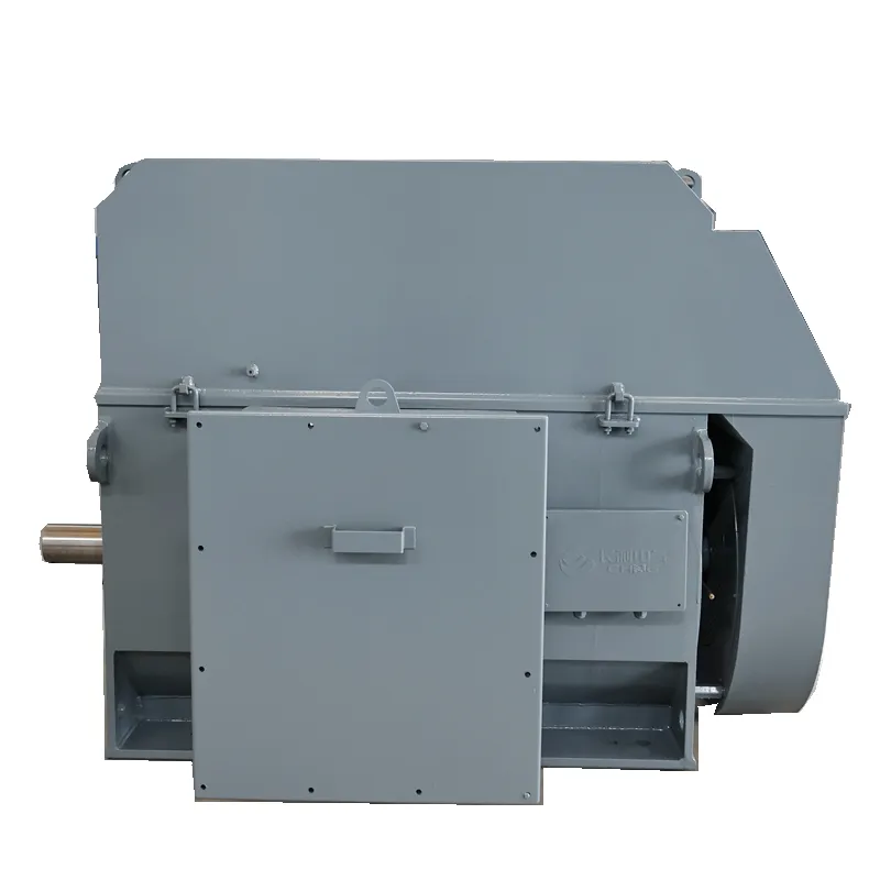 IEC Standard Medium Voltage Electric Motors