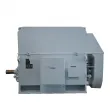 IEC Standard Medium Voltage Electric Motors