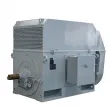 IEC Standard Medium Voltage Electric Motors