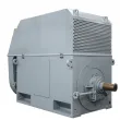 IEC Standard Medium Voltage Electric Motors