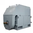 IEC Standard Medium Voltage Electric Motors