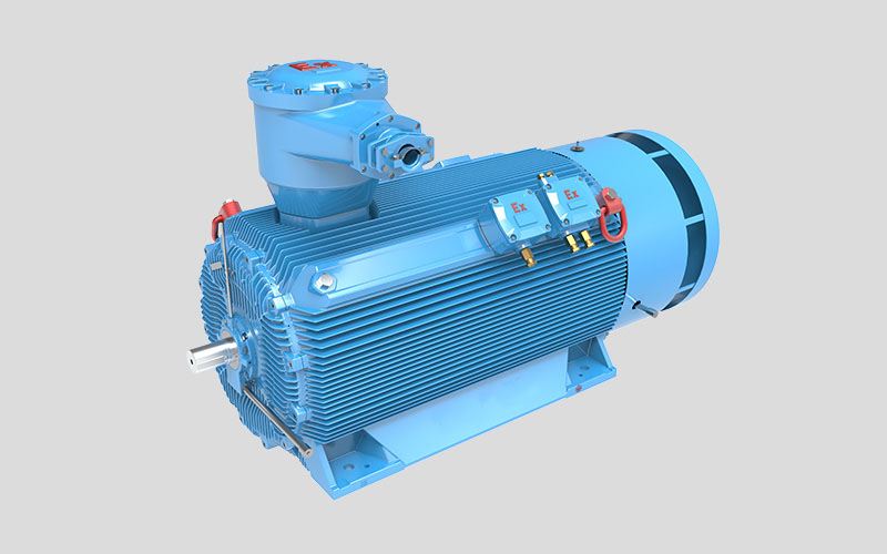 High voltage explosion proof motors