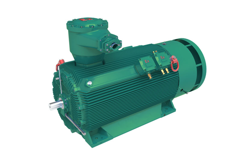 High voltage explosion proof motors