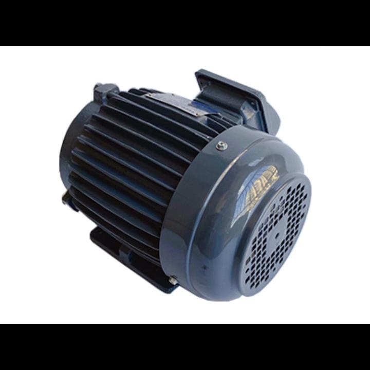 NEMA premium electric motor 