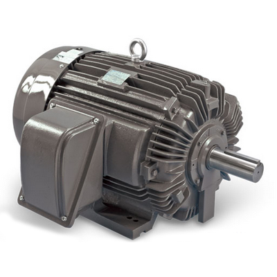 NEMA premium electric motor