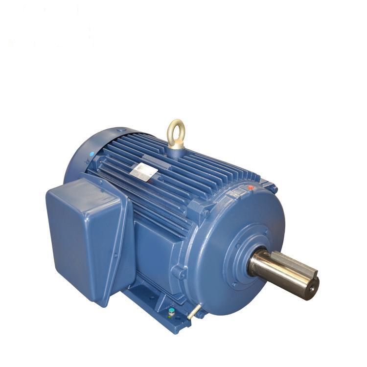 NEMA premium electric motor